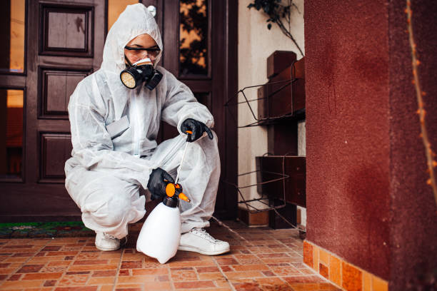 Reliable Cockroach Control contractor in Hawkinsville, GA by Nex Pest Control